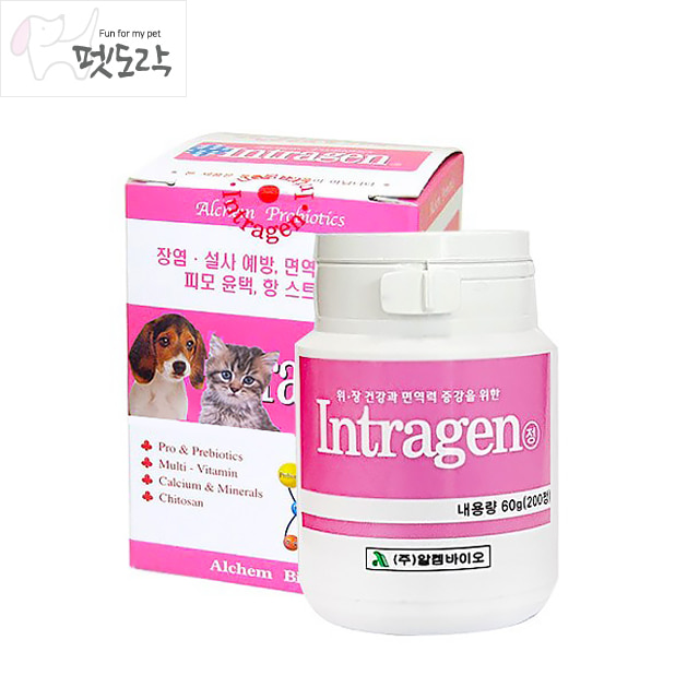 알켐바이오 인트라젠 200정 강아지/고양이 영양제 장건강 프로바이오틱스